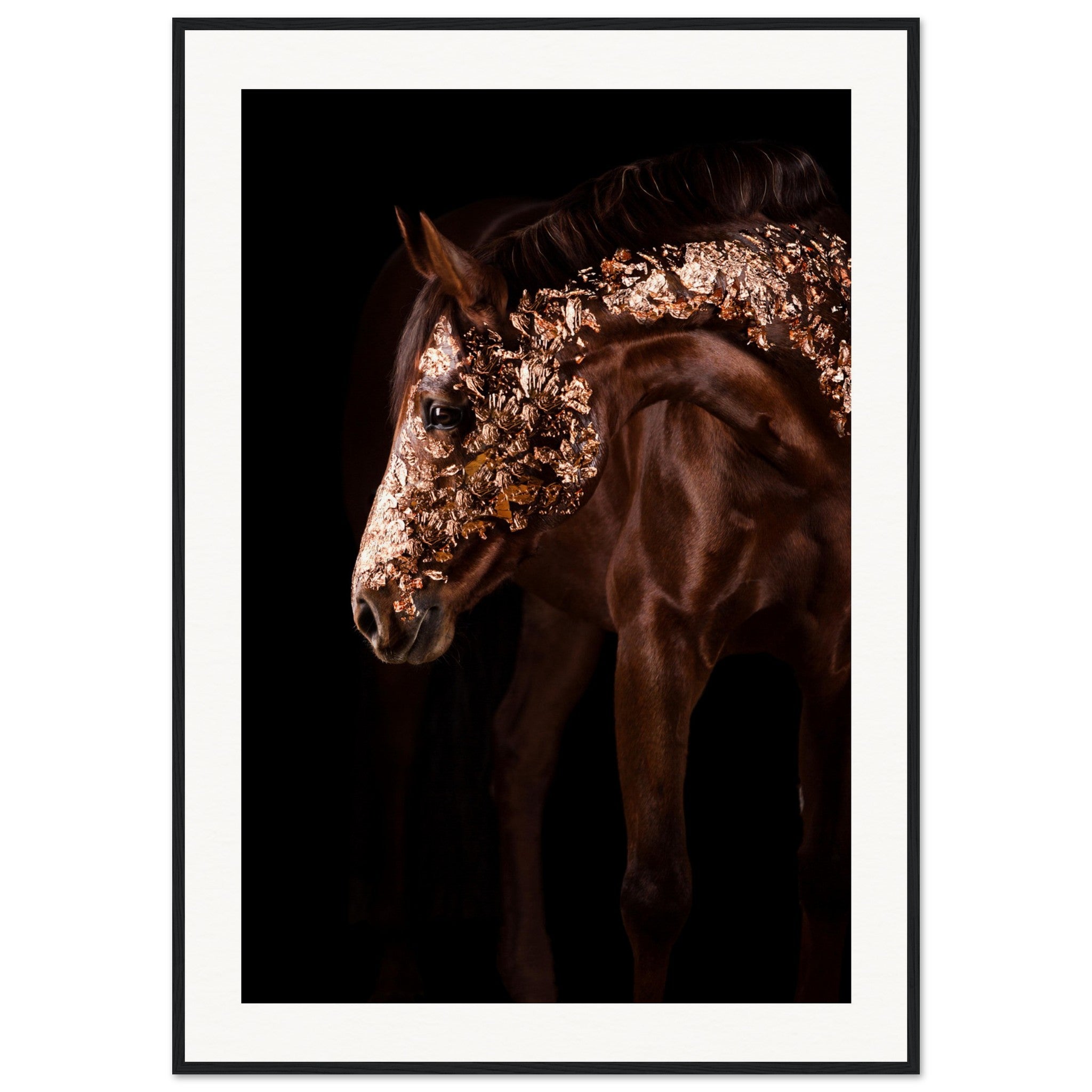 401eece2-f1f5-4716-b1b9-a815fc8a9312