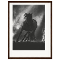 4038f5cc-b383-49b5-9459-fc56c3385318