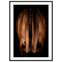 403a4b85-b674-42d2-95a9-ee5a93e9dde9