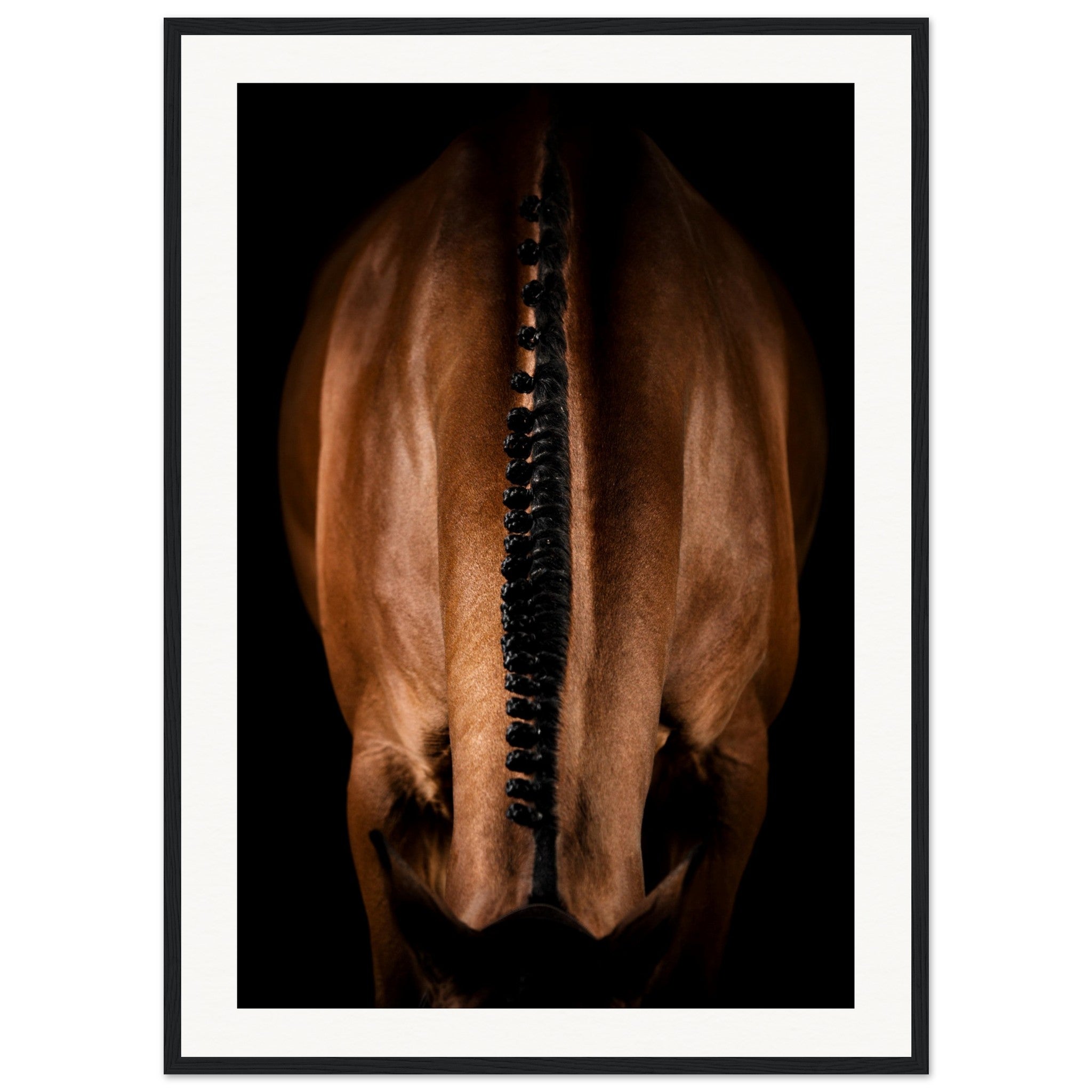 403a4b85-b674-42d2-95a9-ee5a93e9dde9