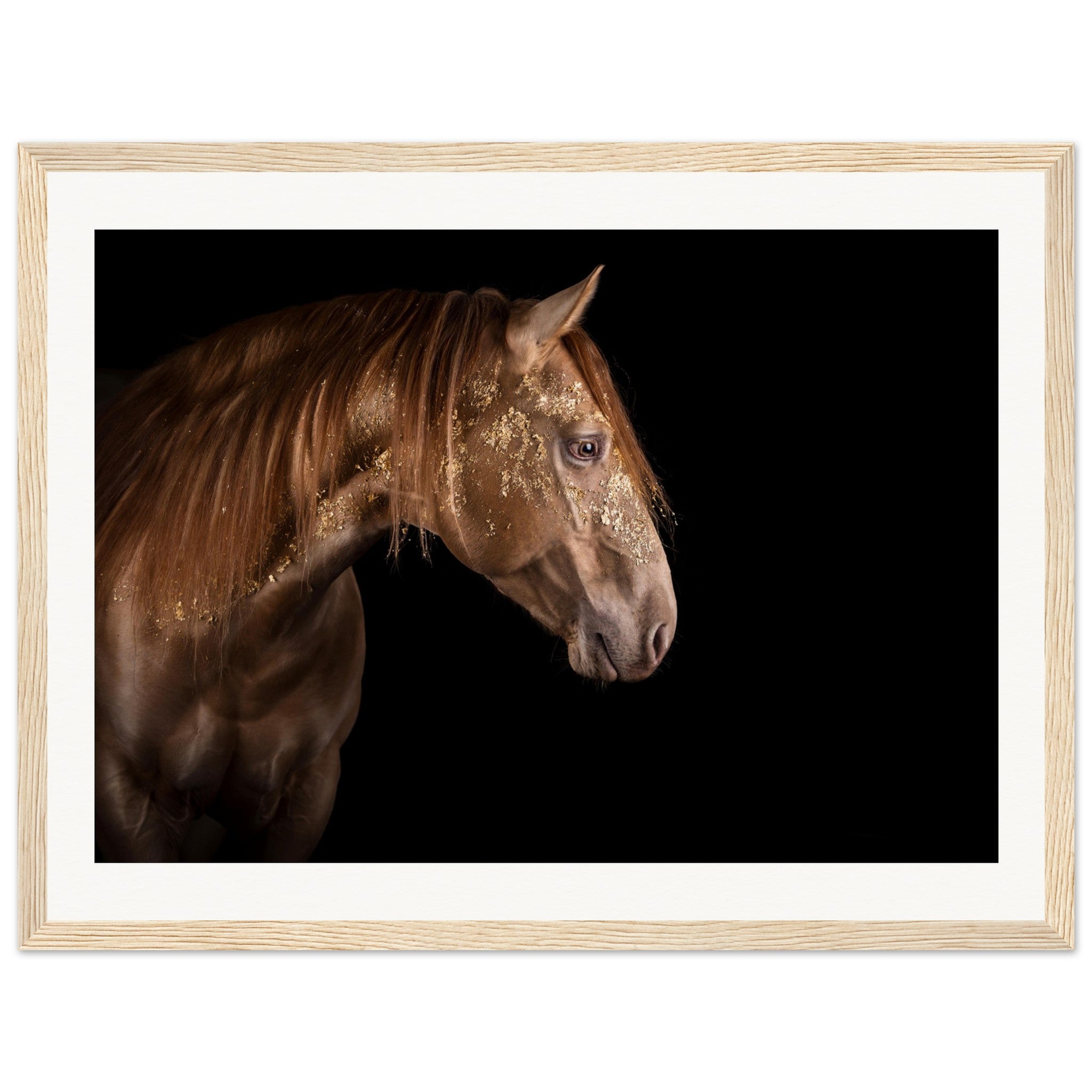 4093ec29-51cb-4242-8795-9c9dd16d9f55