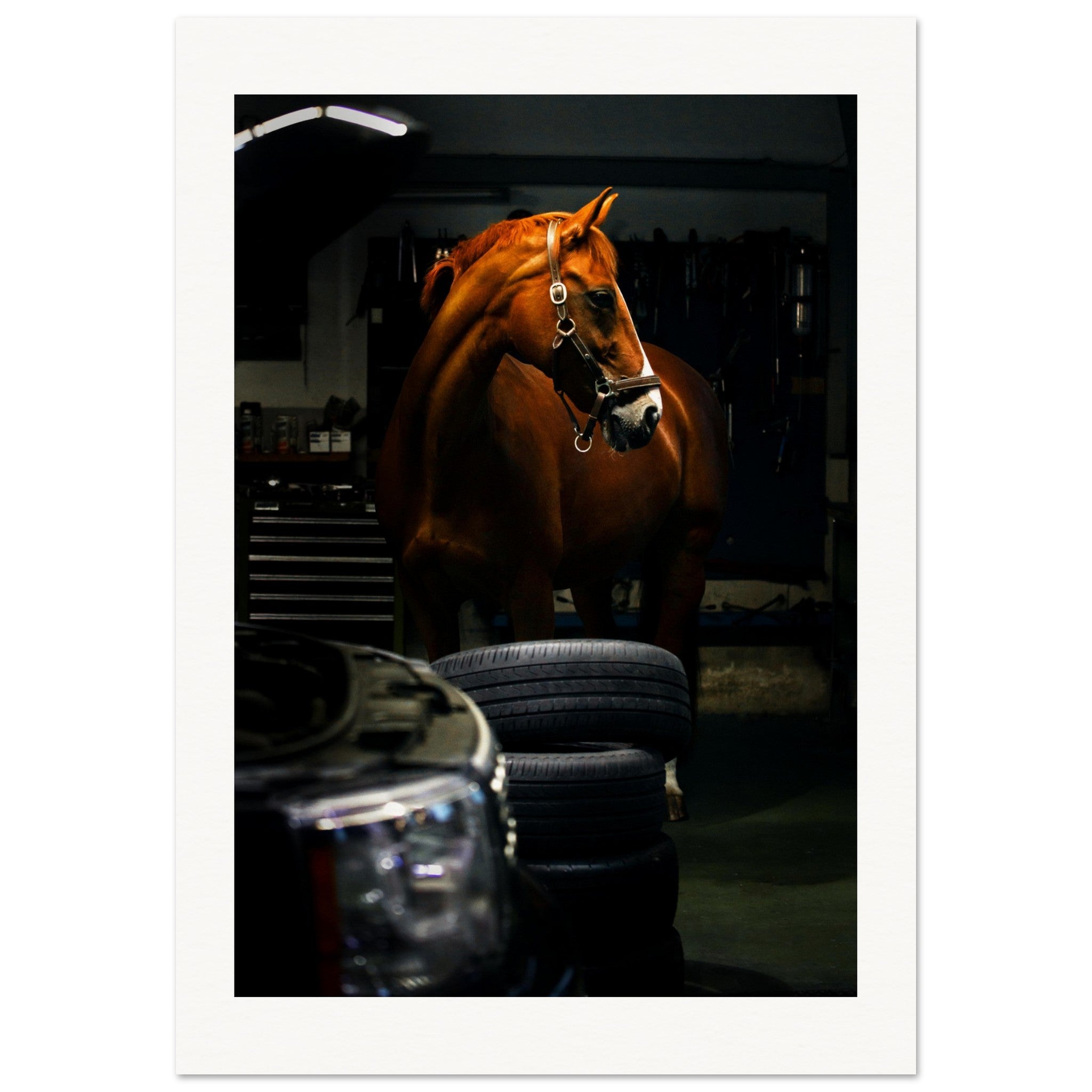 40970c54-5337-45dc-abe5-ccfe65a41f56