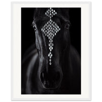 409b2beb-023b-43ea-83c8-c462f67e8110