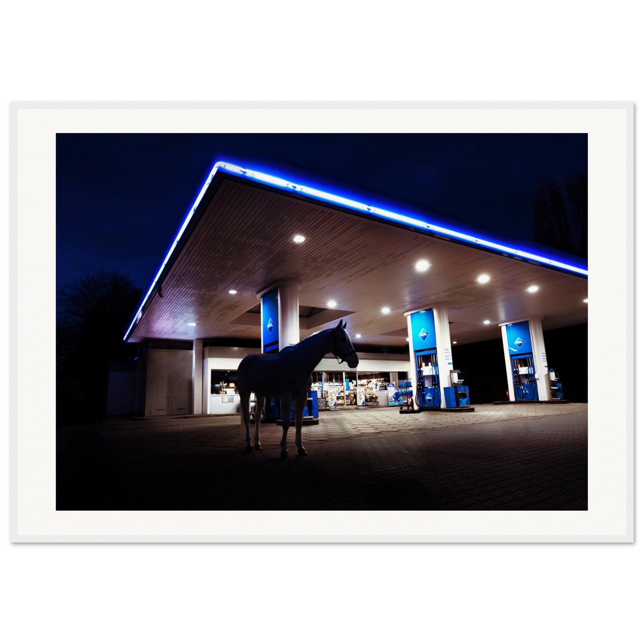 409f50e2-d394-4088-8e35-4629a4d2905a