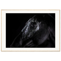 40ec6c07-0ca6-4986-be3a-6769f235283c