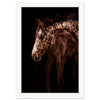 40ed0627-02ff-4ce2-9dac-2f62a09a5221