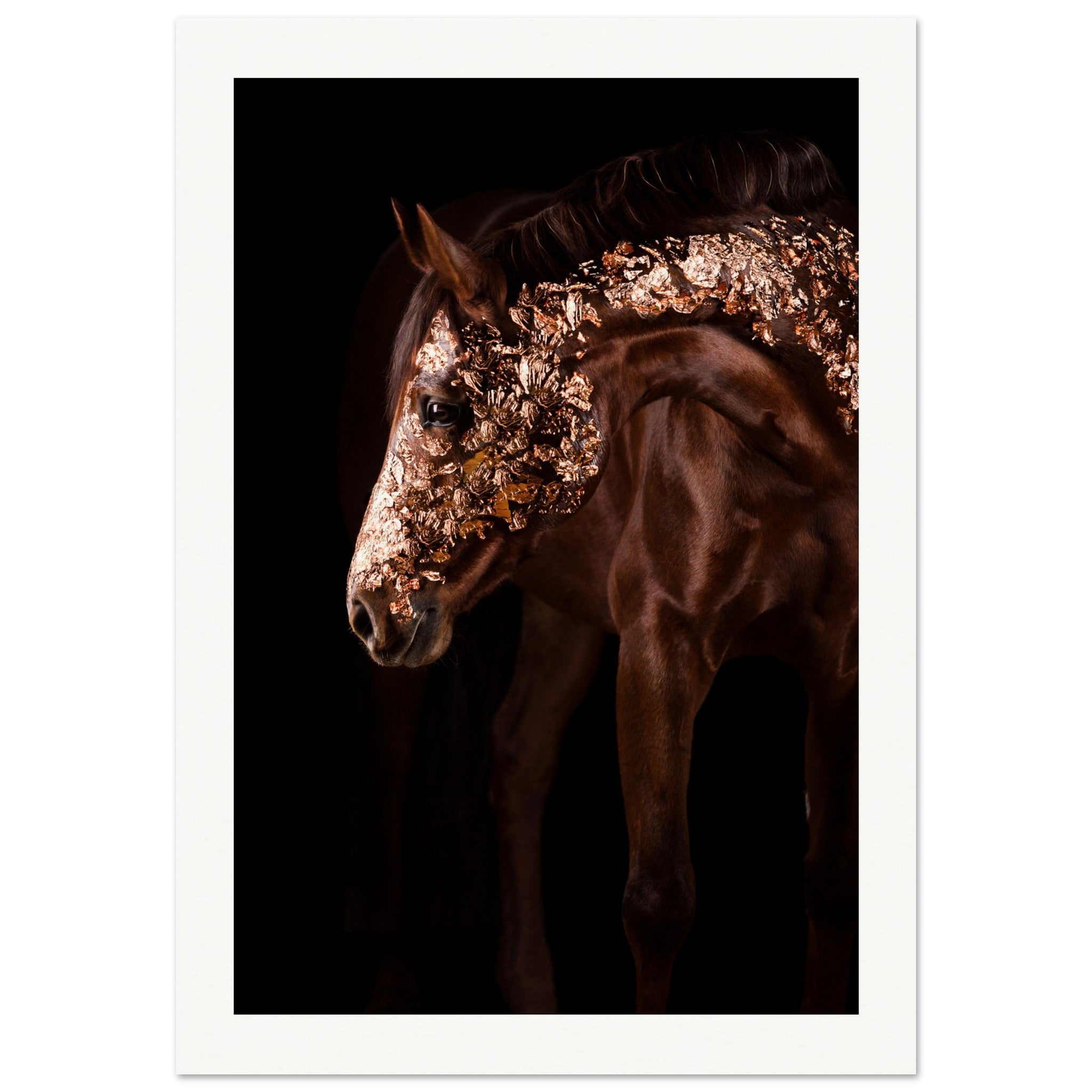 40ed0627-02ff-4ce2-9dac-2f62a09a5221