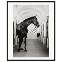 40ff414f-4418-42e3-b952-0c5040cdadd4