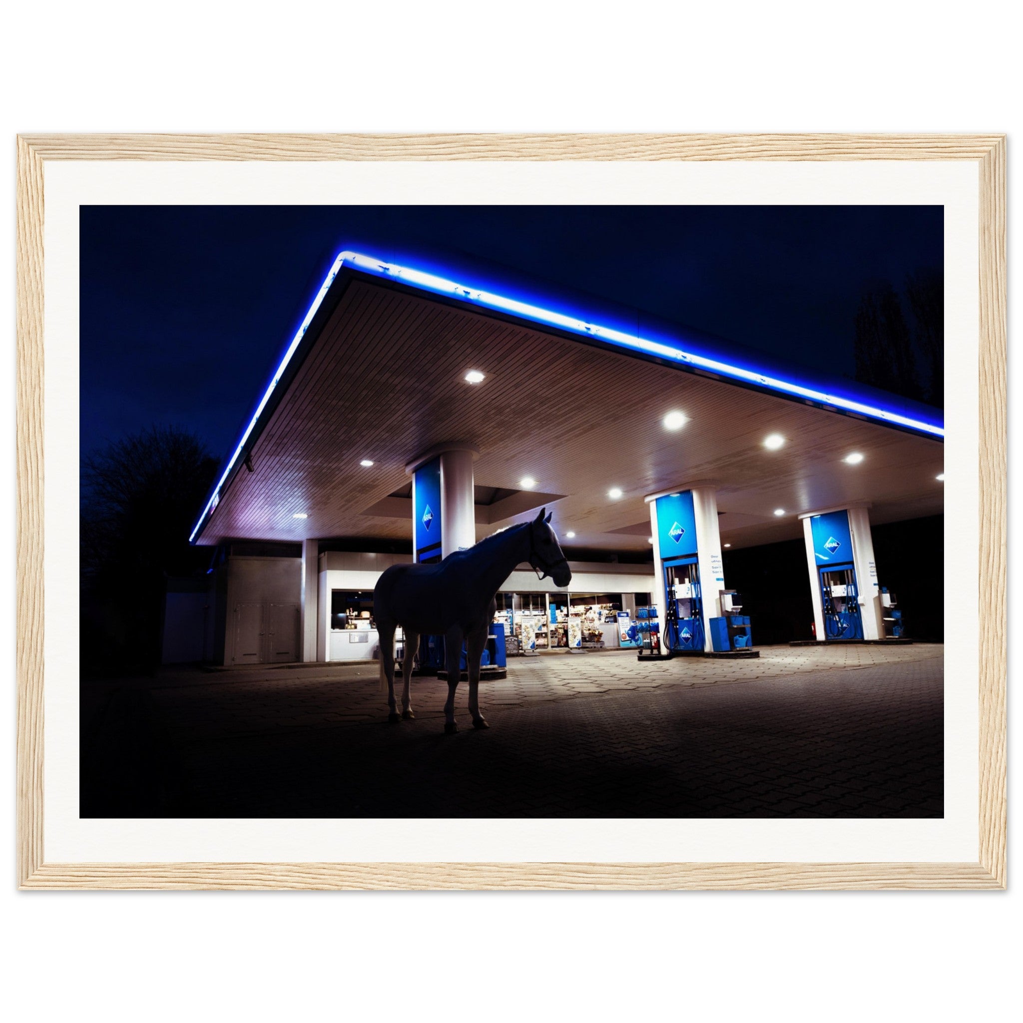 41085a9b-0654-4257-a1af-448cd58130d1