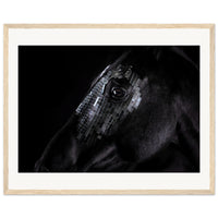 411a640b-d1cd-4bd2-9d33-03342865edd8