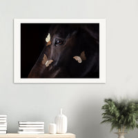 4154b1de-42ae-4599-8662-817c67786bd9