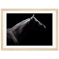 41b8fc72-2f8b-4b02-b470-f61ca4933d9c