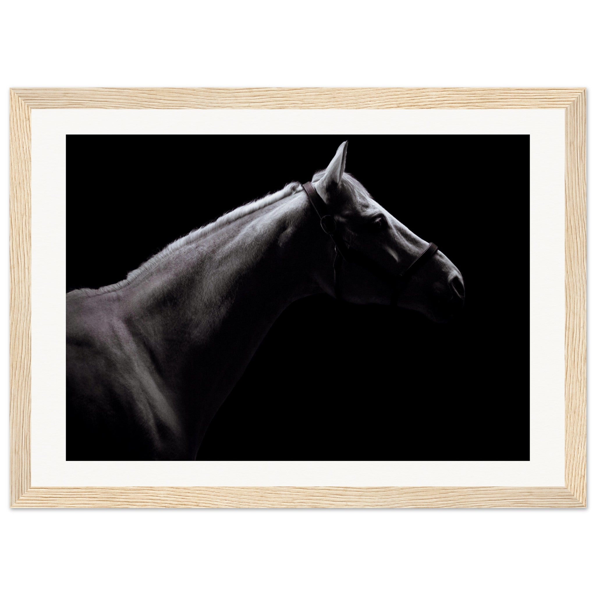 41b8fc72-2f8b-4b02-b470-f61ca4933d9c