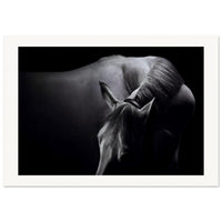 41d03a81-1f2d-4c15-95d3-9e6ff7e3b77e