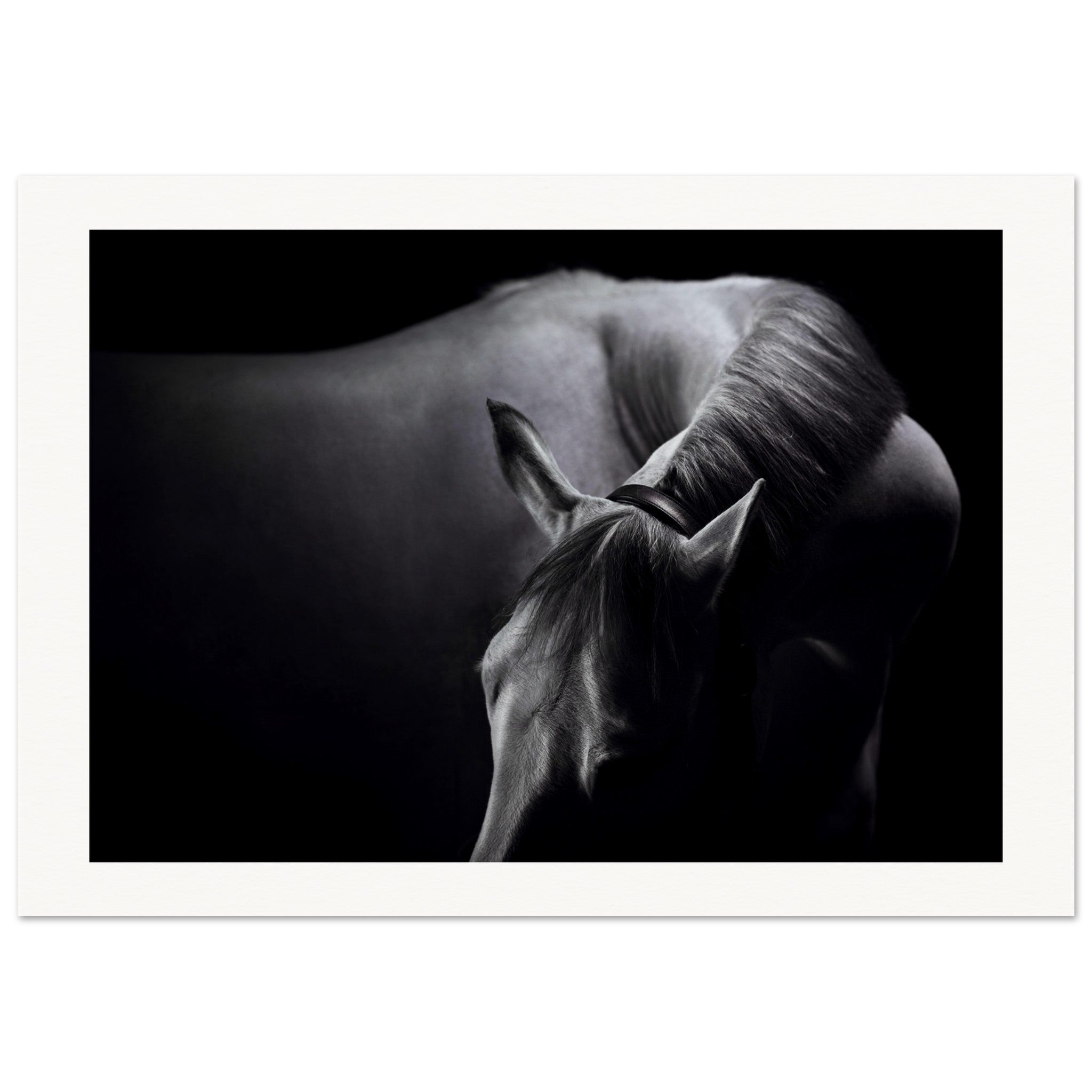 41d03a81-1f2d-4c15-95d3-9e6ff7e3b77e