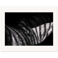 4241f252-fada-4b8e-a1a0-880210e4b2ad