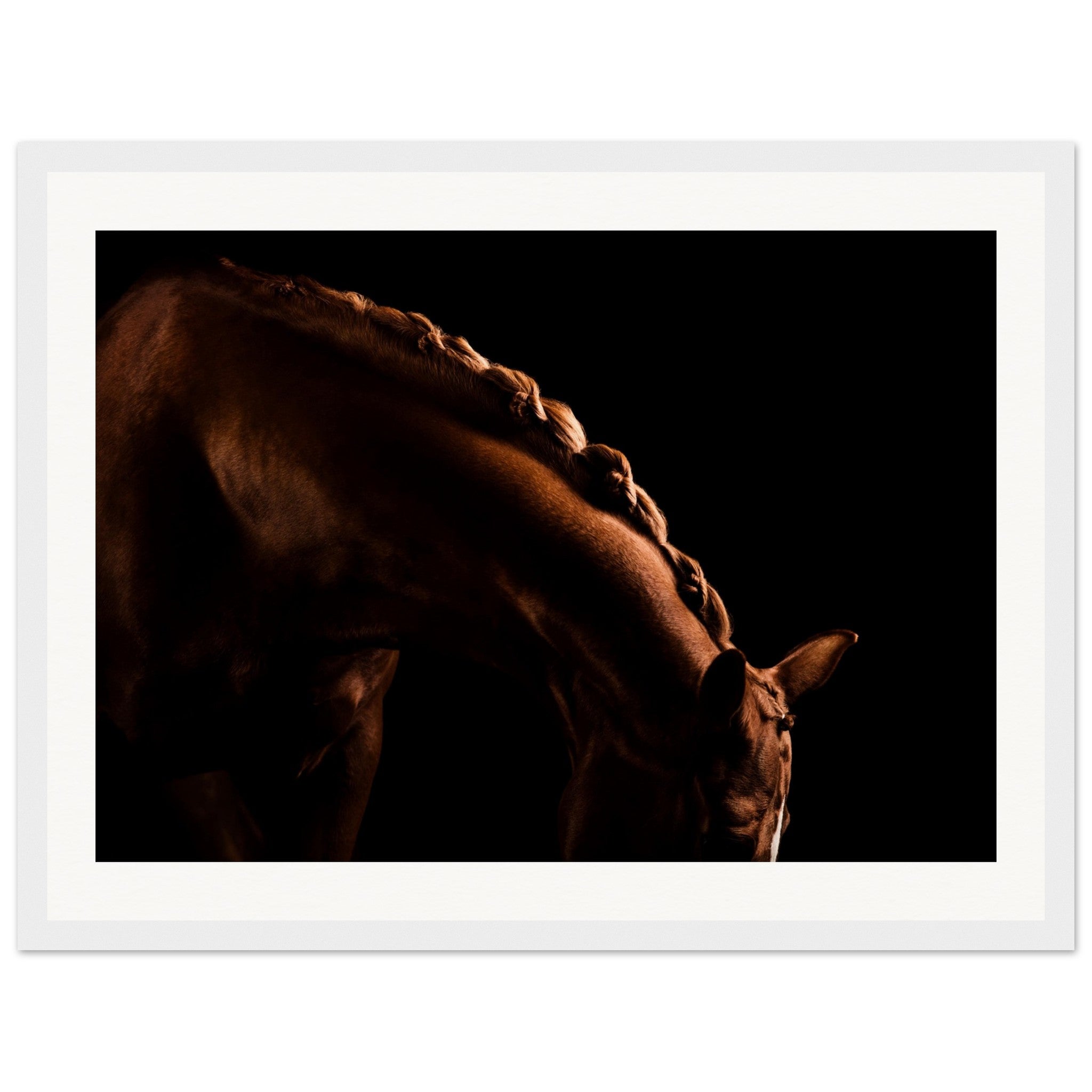 424a34d6-35ab-476c-955d-a064c7f86385