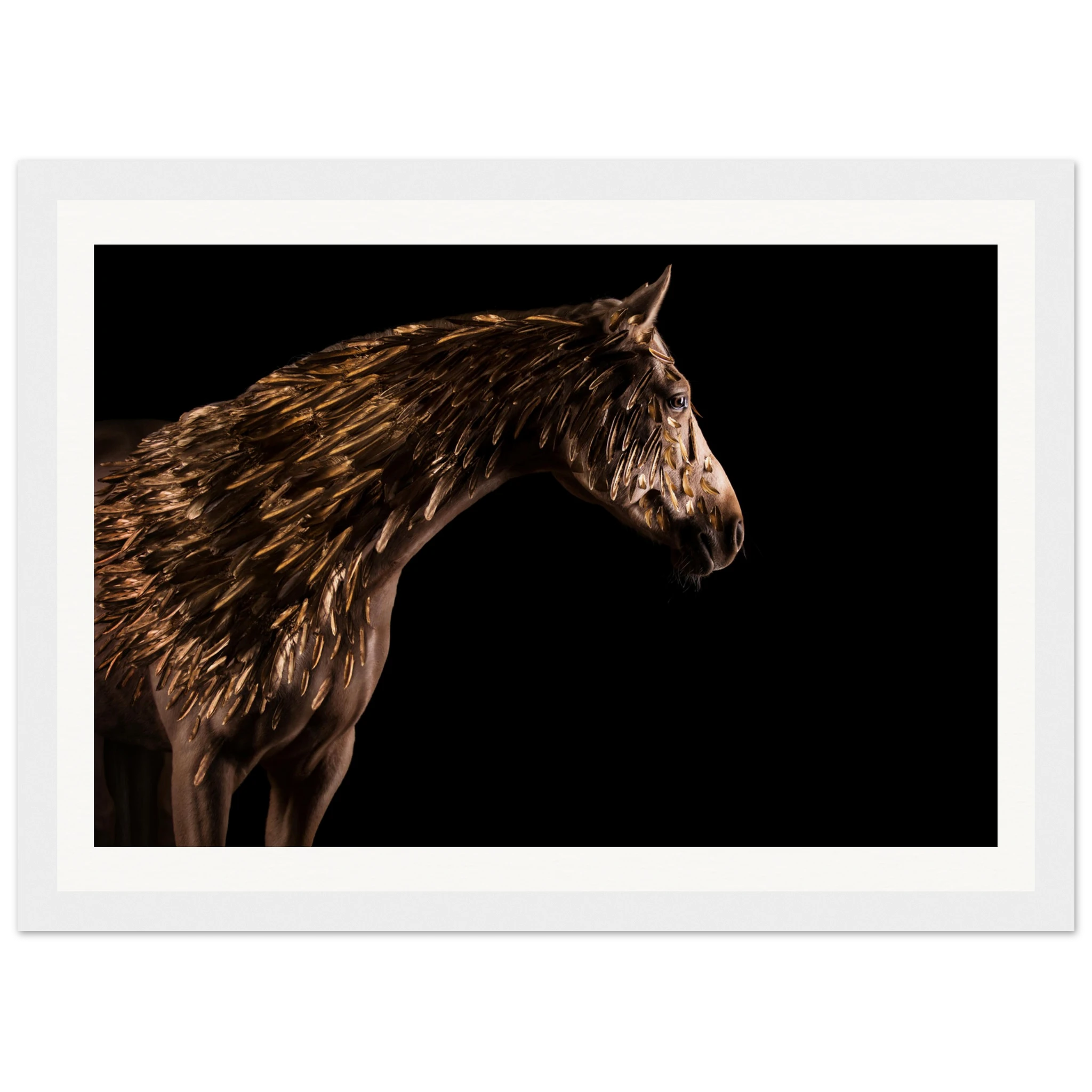 42cba951-5487-49b4-9809-30da1e364da7