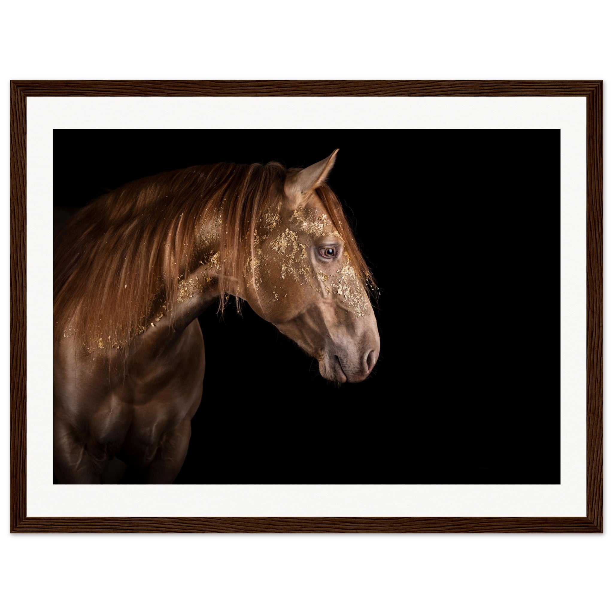 42d35f2c-8d95-4890-861a-38017217bc8e