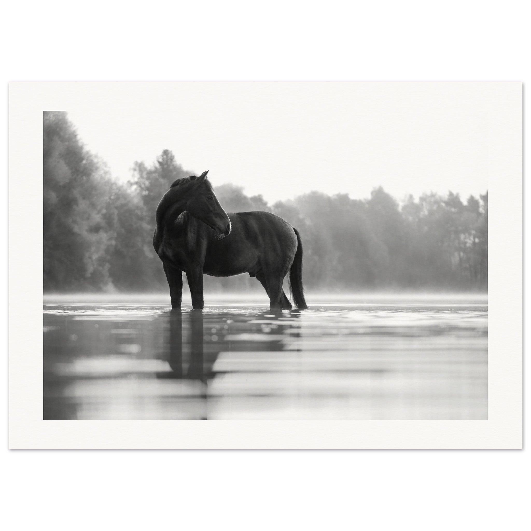 433e442b-71ea-4bb8-906d-33430c9554c0