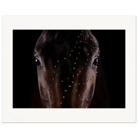 434b568e-fcc6-48ad-a17a-5a15aedfbde0