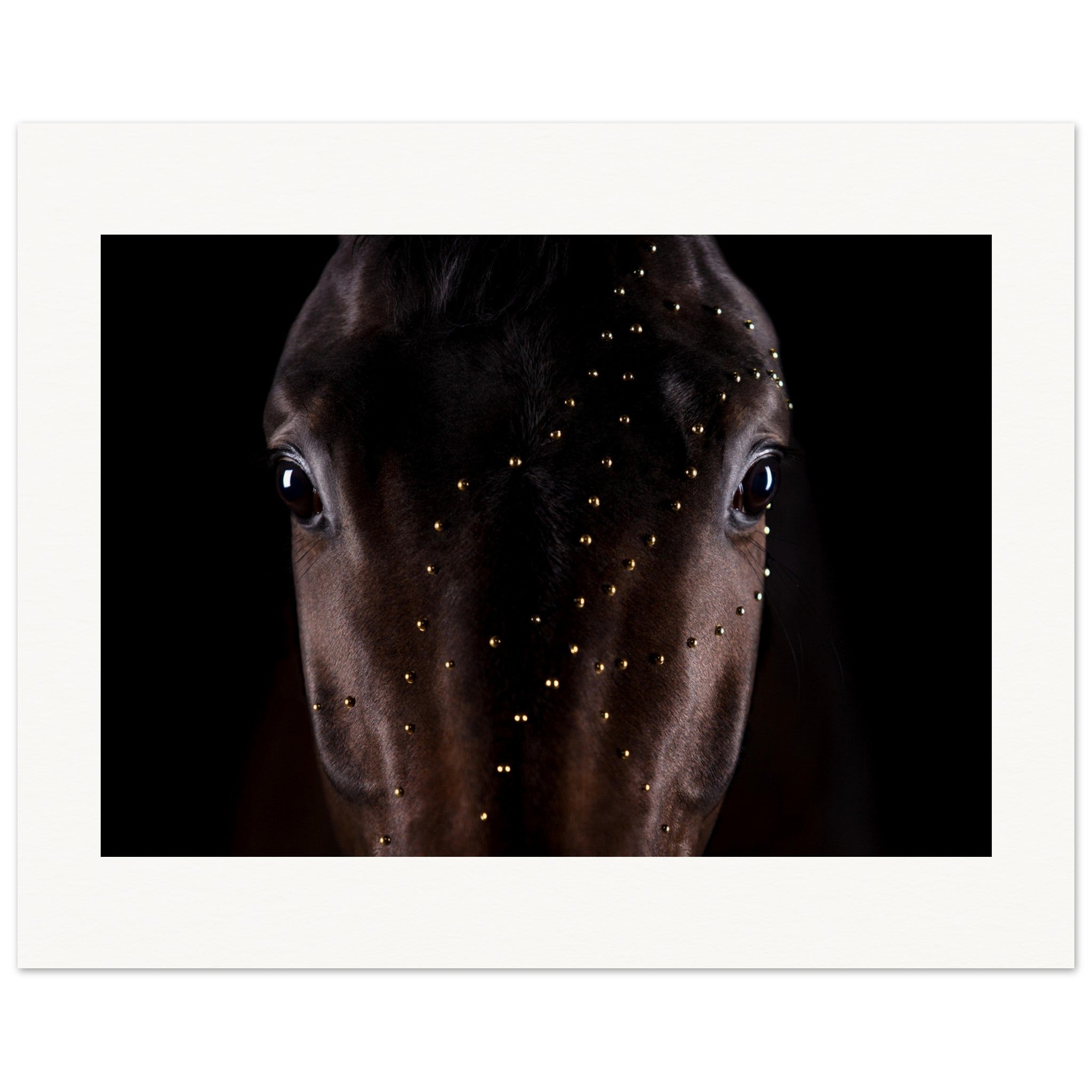 434b568e-fcc6-48ad-a17a-5a15aedfbde0