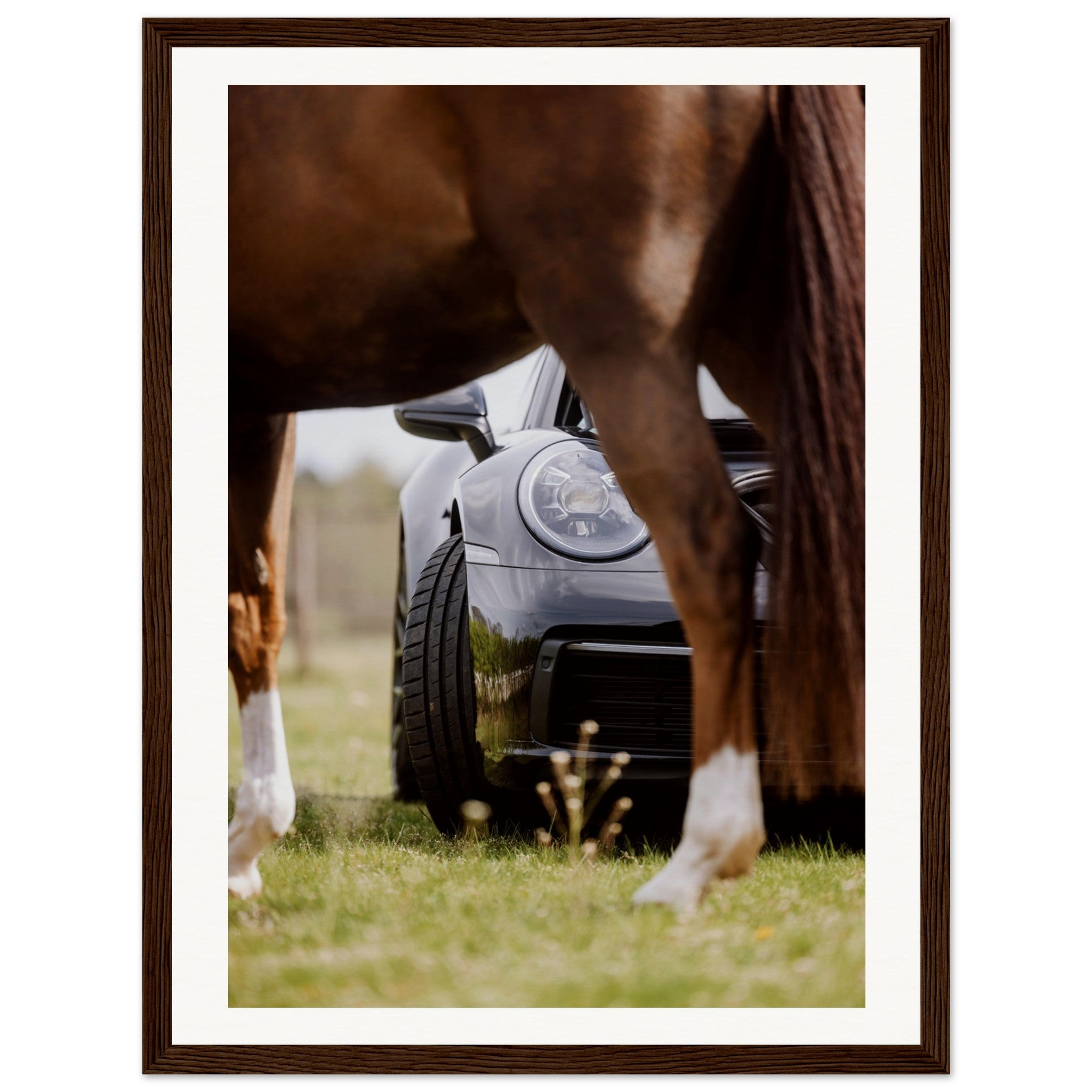 4383ed65-6242-4772-9244-f73bc1a58c74