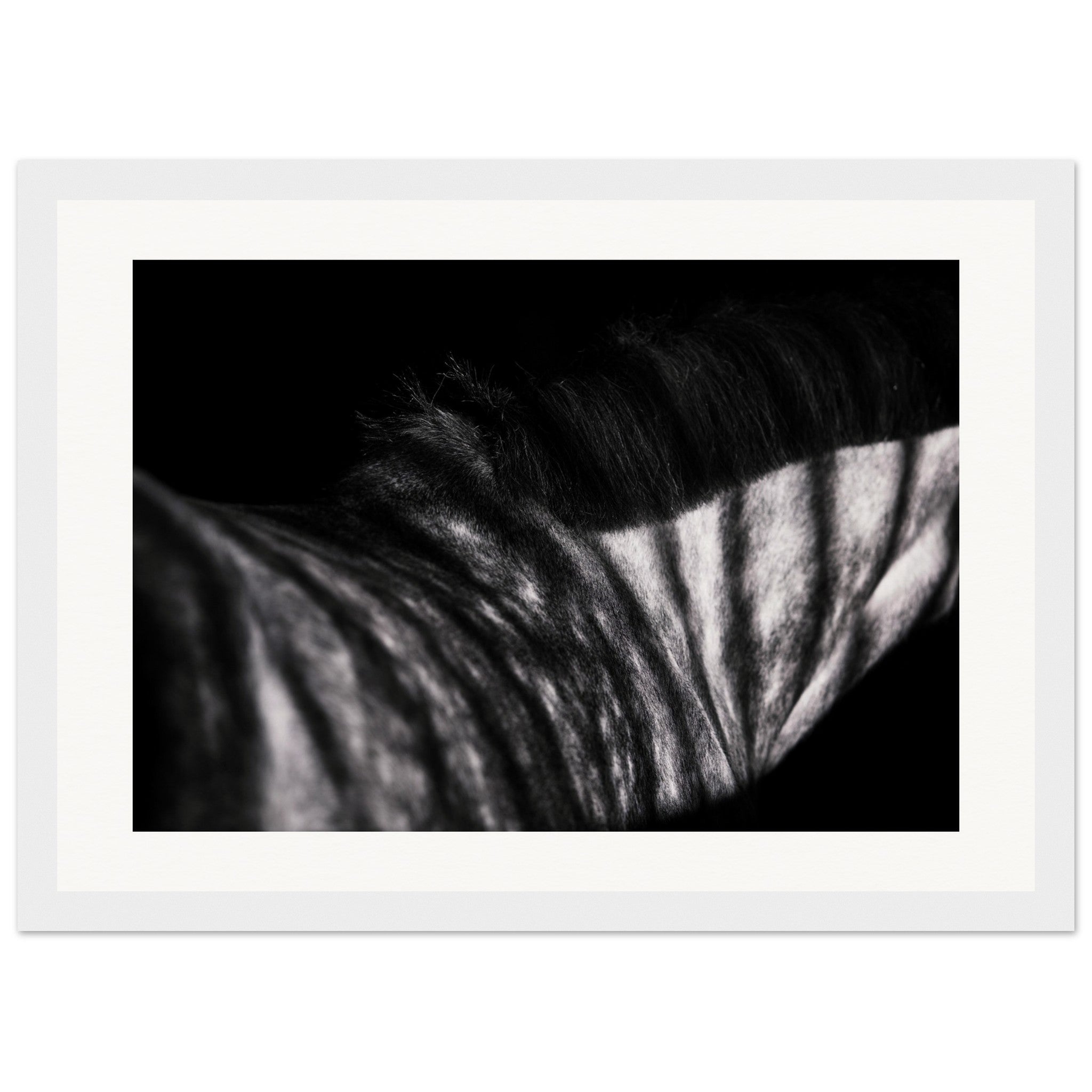 43980df2-fa9a-4392-a5f1-985b2cb2b2d7