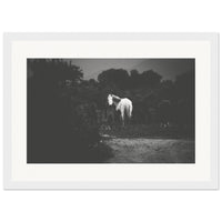 43bed14c-a0ca-45eb-abf1-0f1a3075cd71