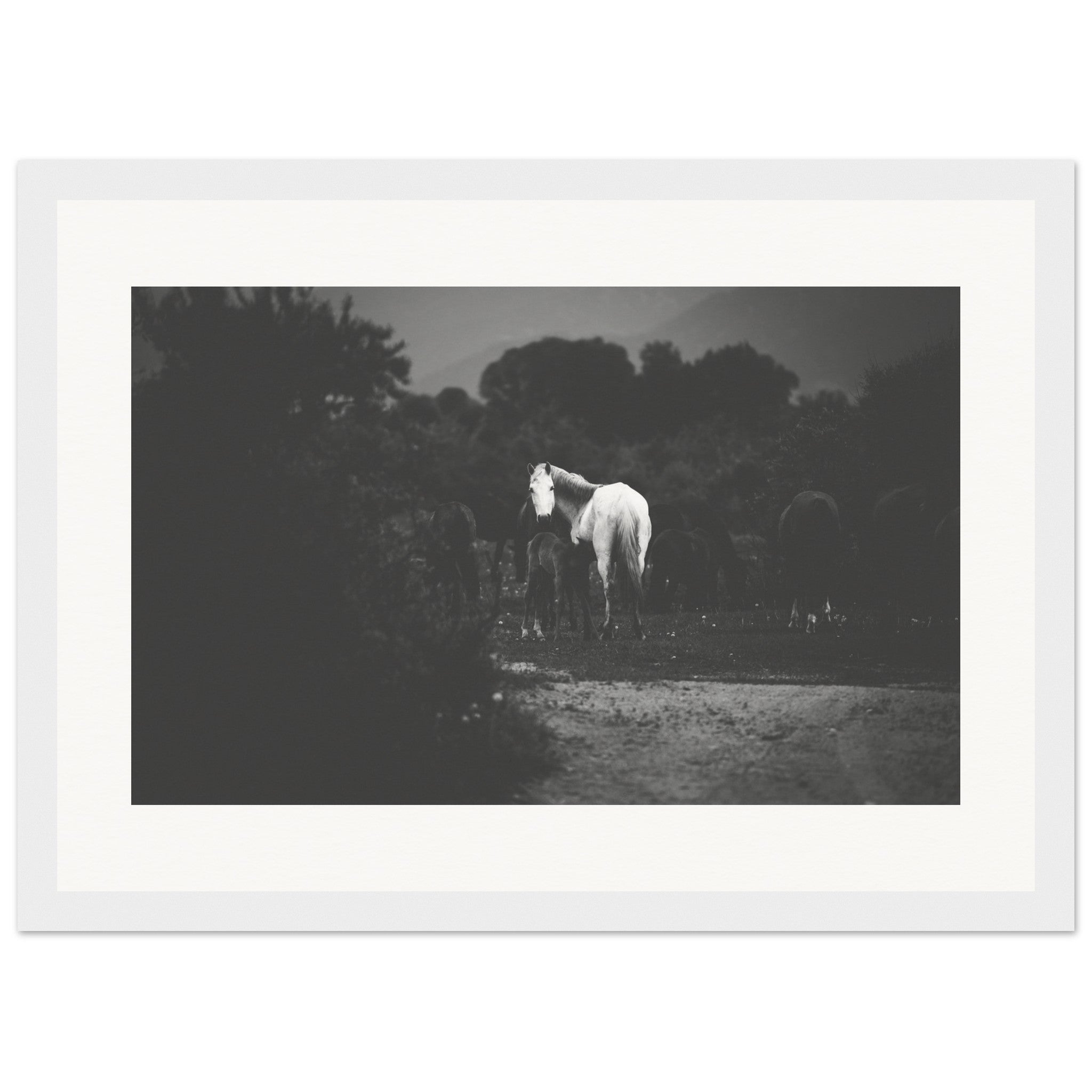 43bed14c-a0ca-45eb-abf1-0f1a3075cd71