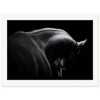 43cc3069-0c14-408e-9847-6097bb869d19