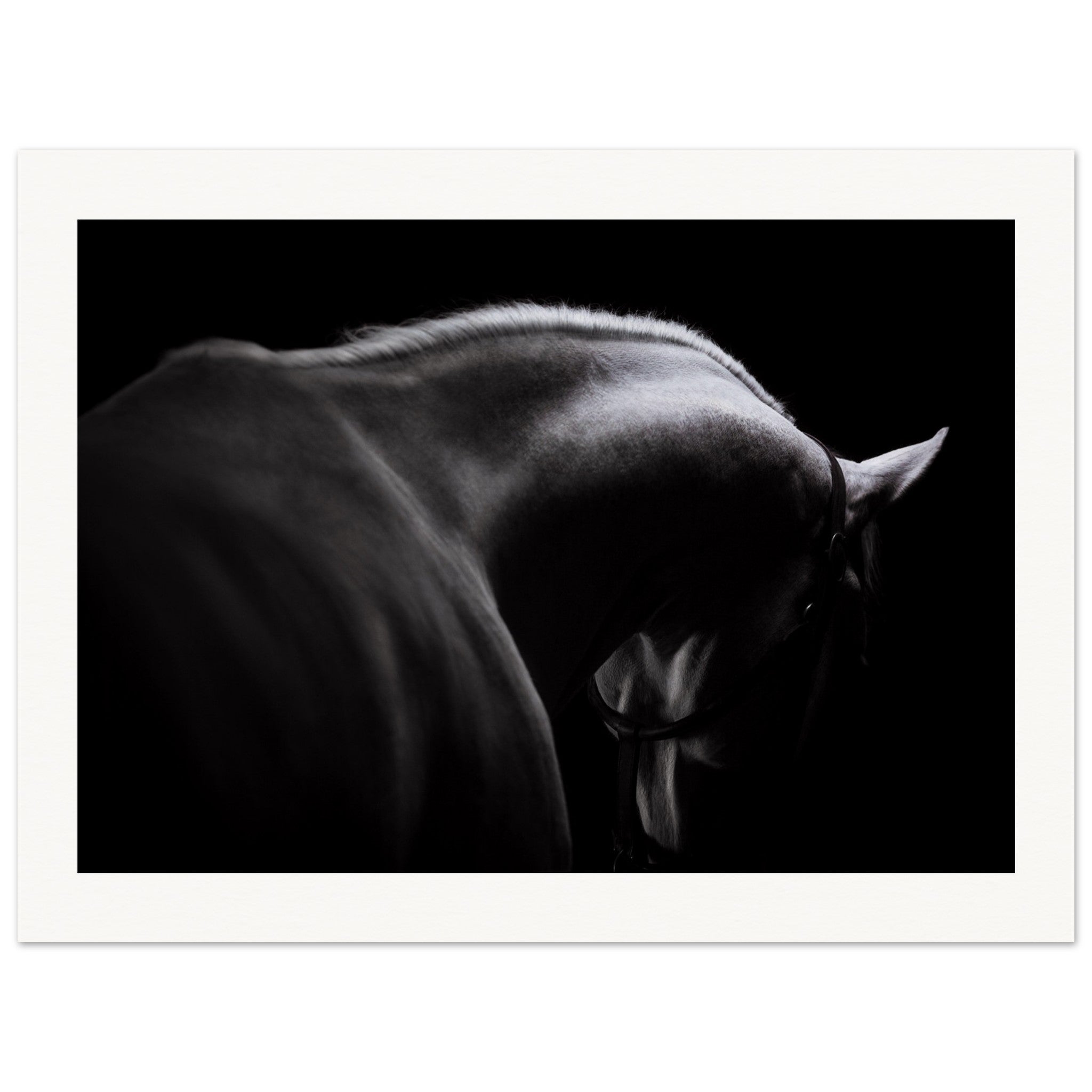 43cc3069-0c14-408e-9847-6097bb869d19