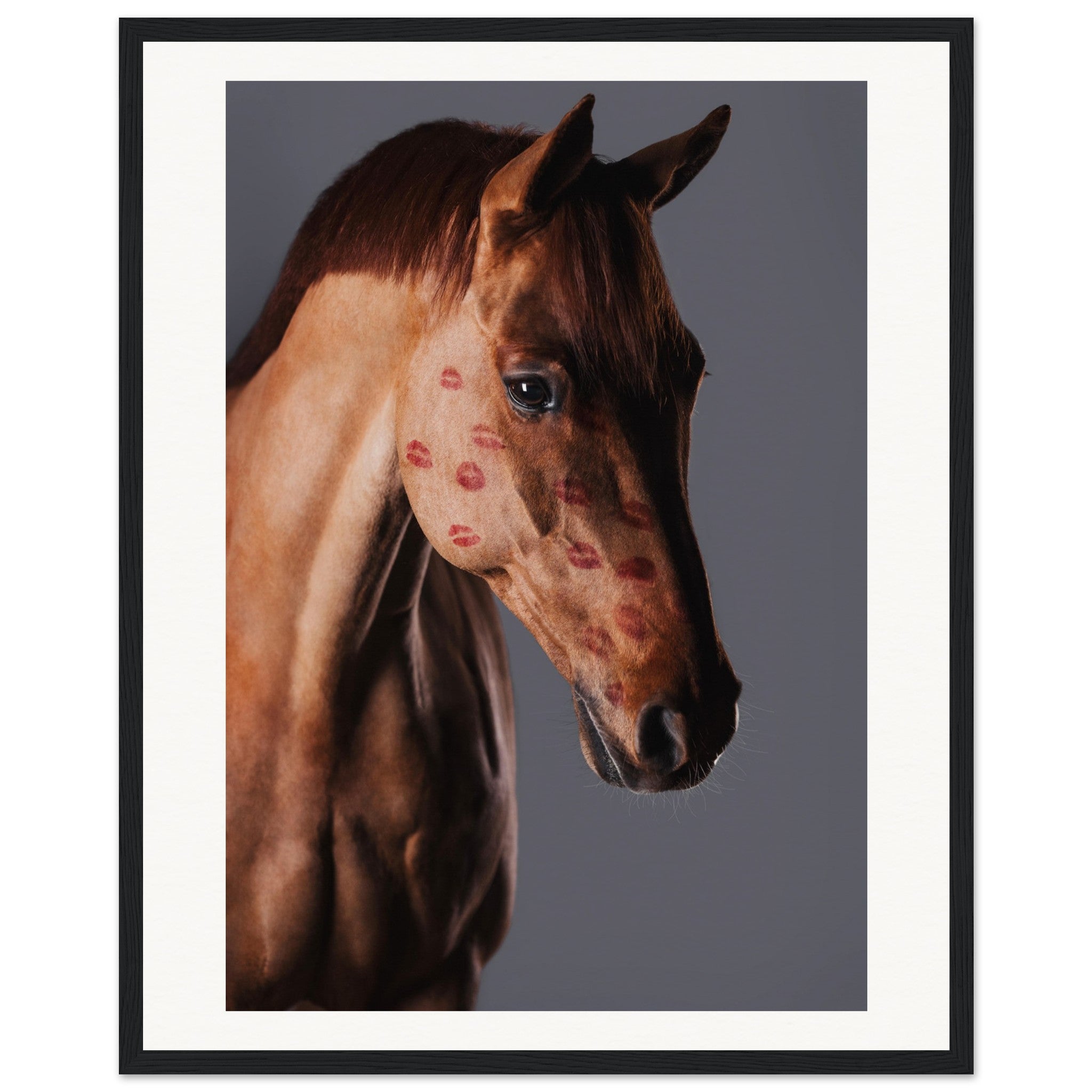 43f685cf-ae93-46c3-8534-d4e640368f70