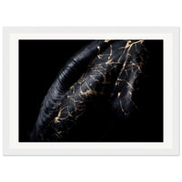 43fc3056-17d1-4ada-aae4-b38ea659a624