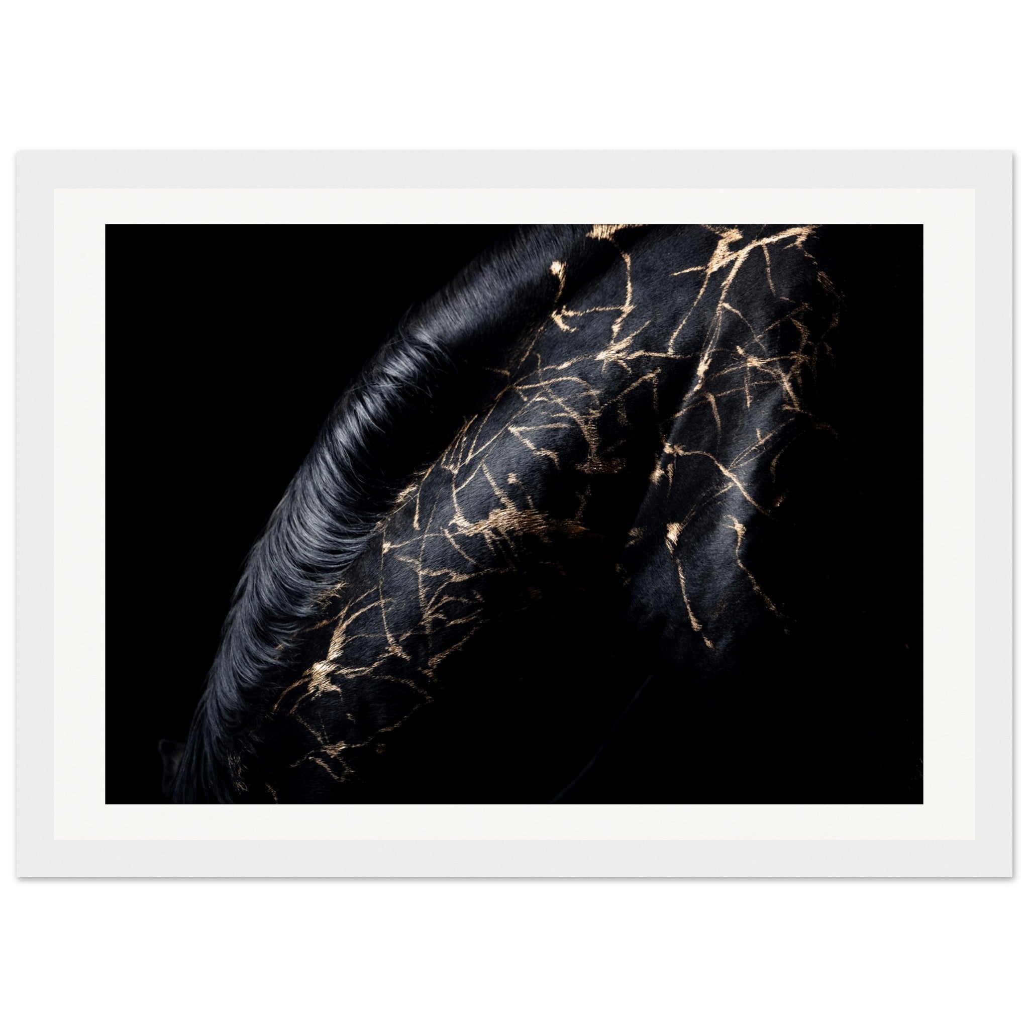 43fc3056-17d1-4ada-aae4-b38ea659a624