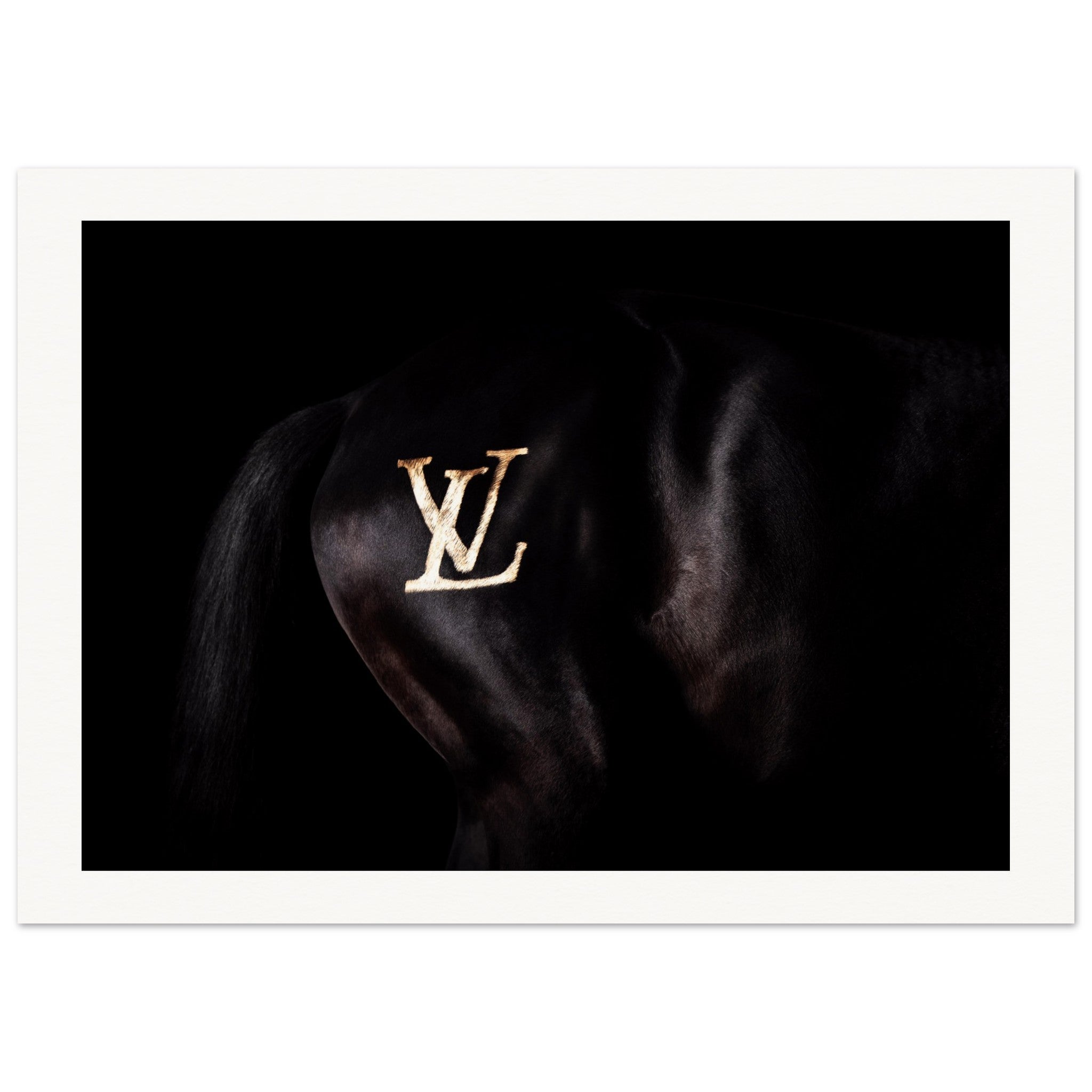 440897ec-ce0e-4152-9721-b8d7e028ca7c