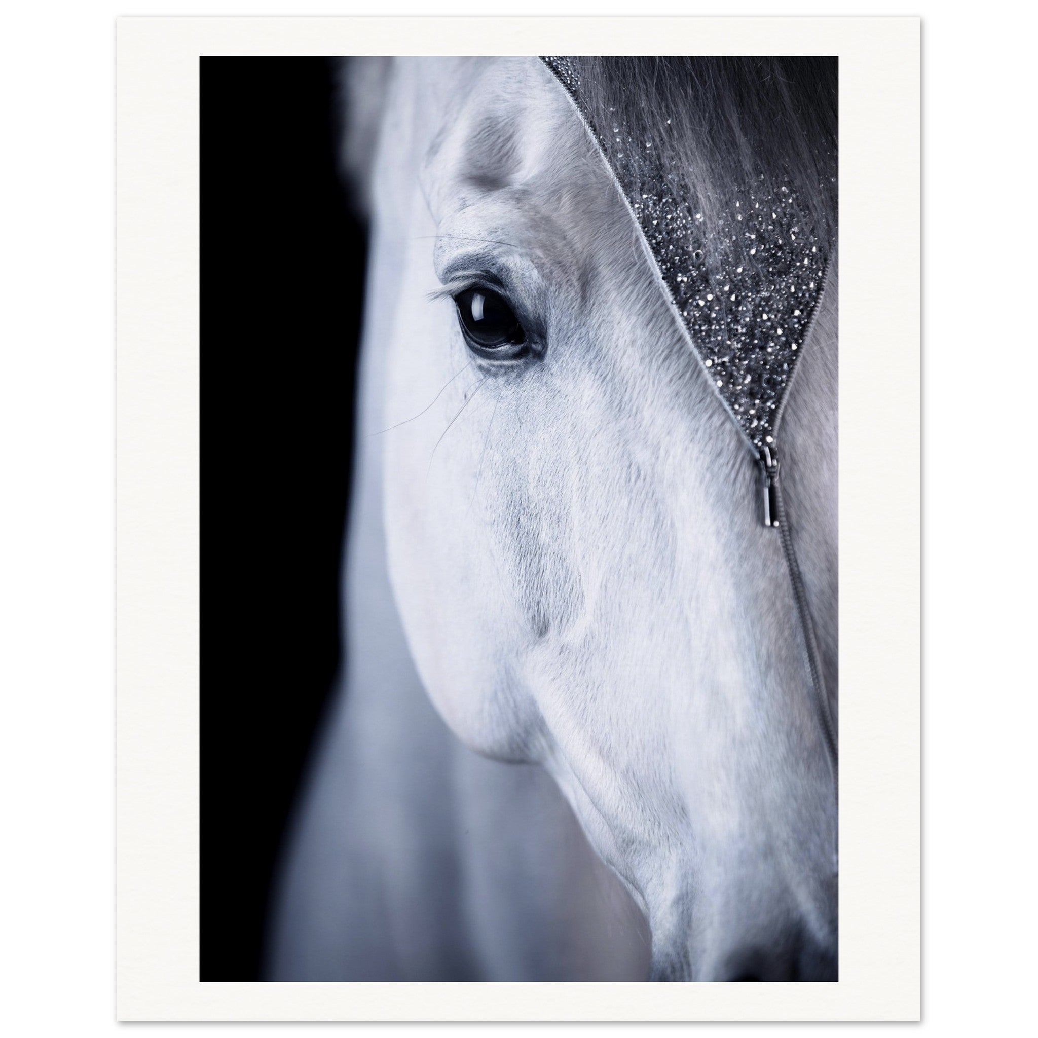 4436c4f0-9485-48fa-ba9c-afa5ab8ef613