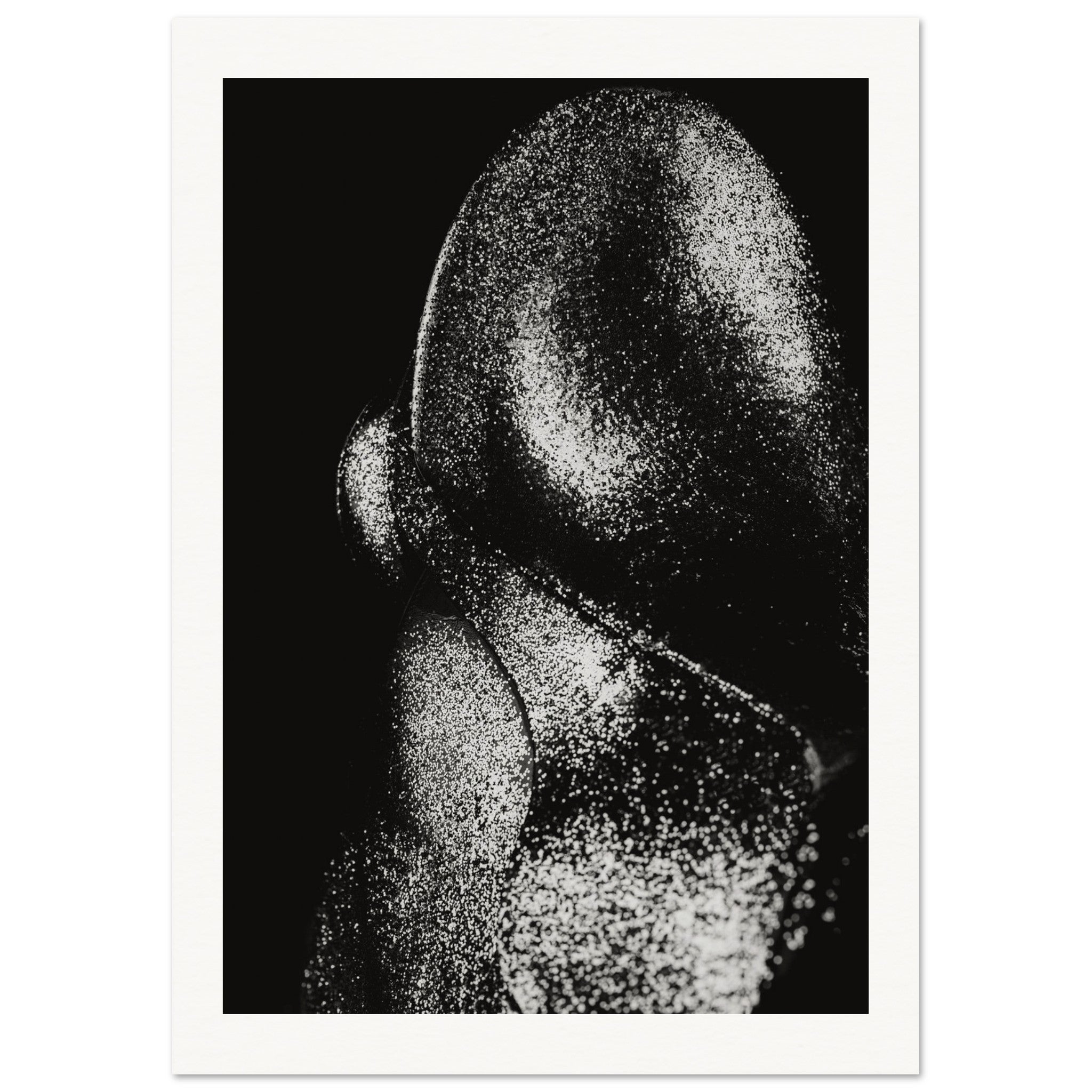 446b888d-2523-446e-9b4f-9770b2611793