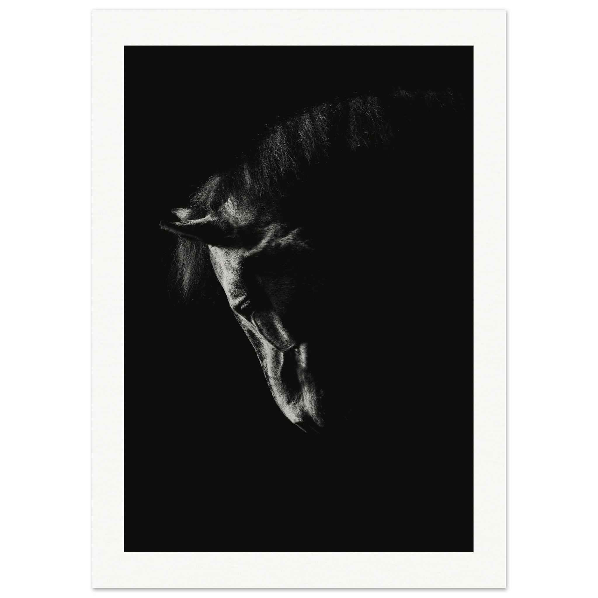 4488e9ff-c7b8-4ec7-b1cf-f92157eed7c9