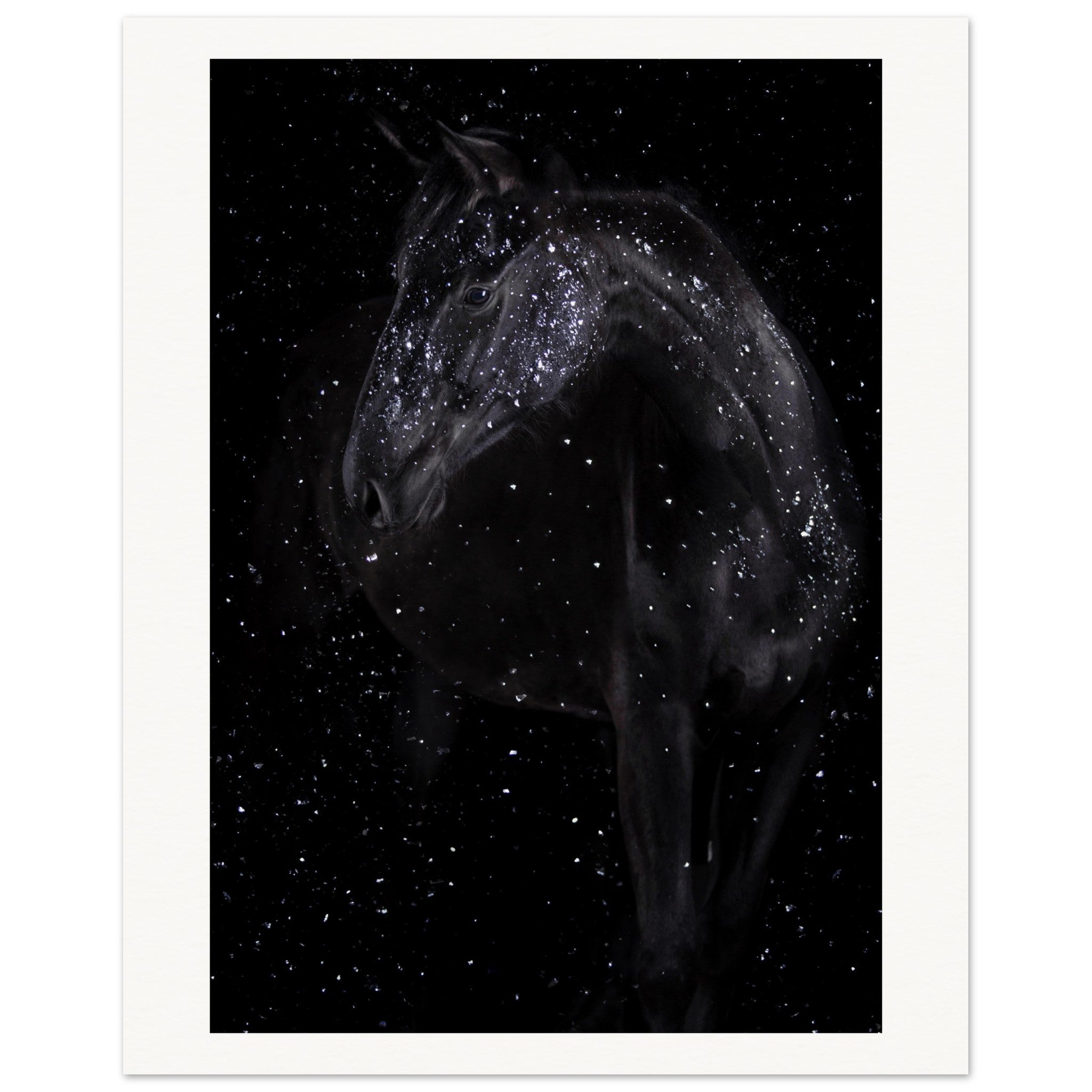 44c249a7-8a44-4b6f-99df-52dd12d8f726