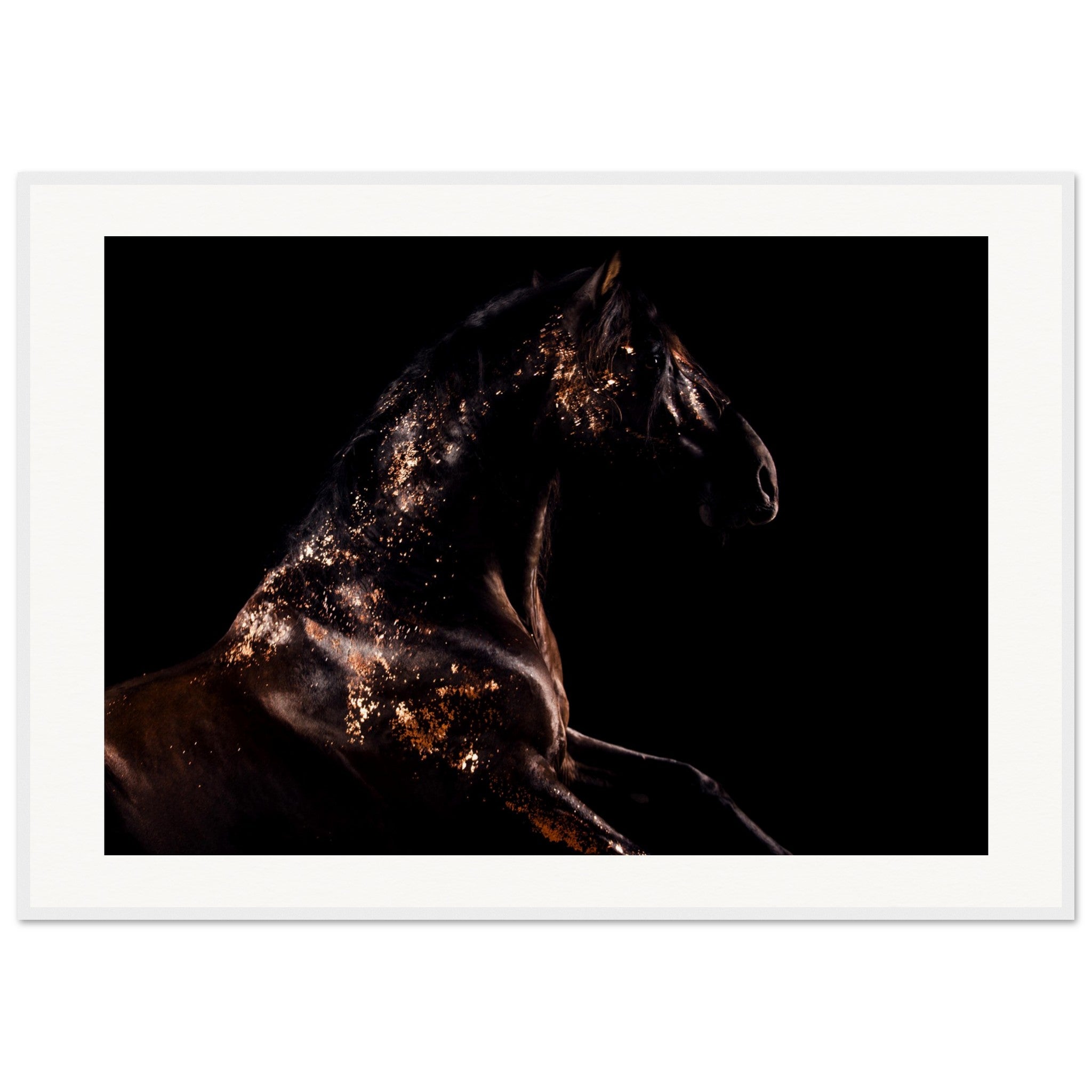 44c59a77-6327-4bae-90de-27001723b173