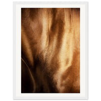 44cc0479-4eb4-42e2-8171-d731dabfca43