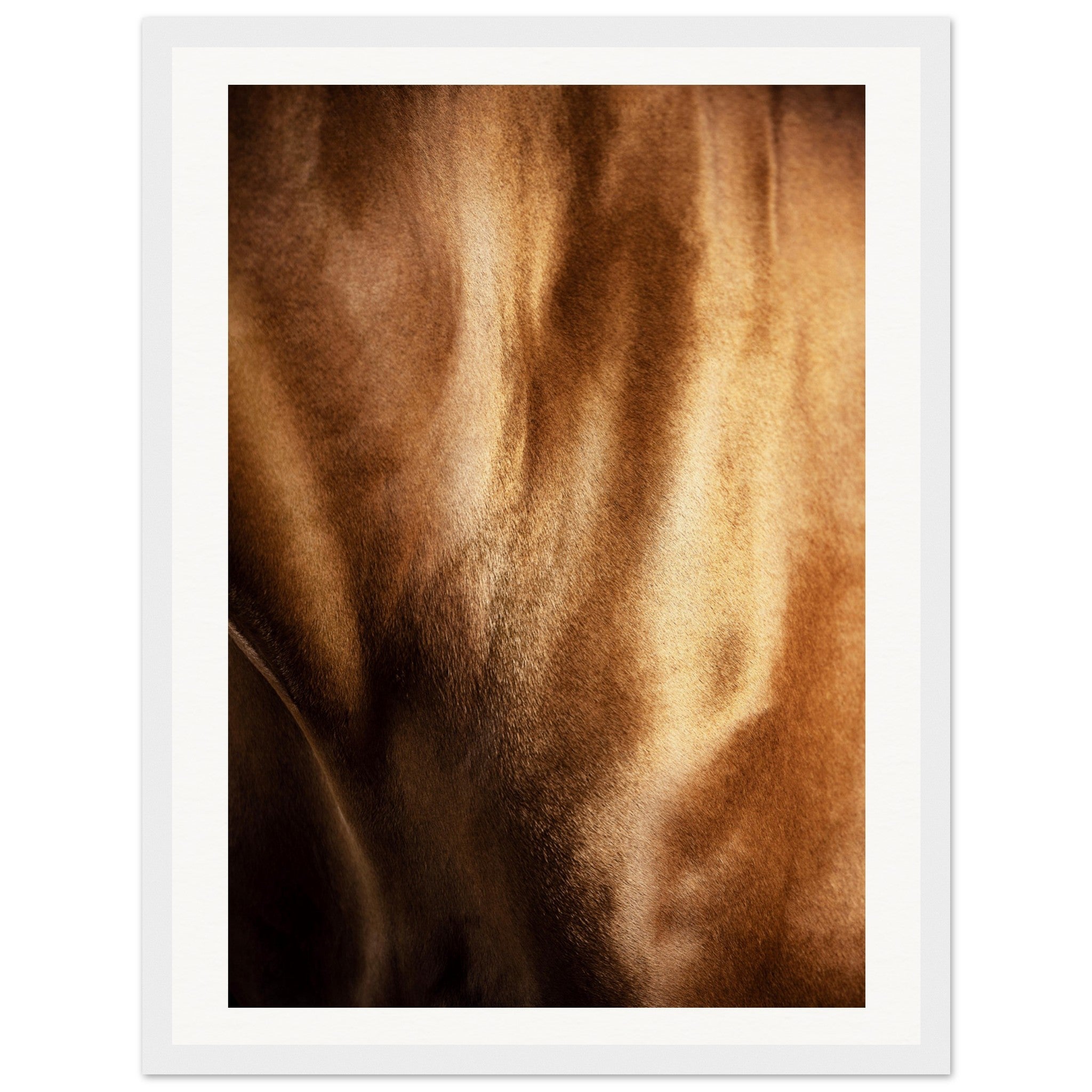 44cc0479-4eb4-42e2-8171-d731dabfca43