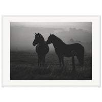 44e879ff-fd44-47ec-a2e1-793b9b01fa2a