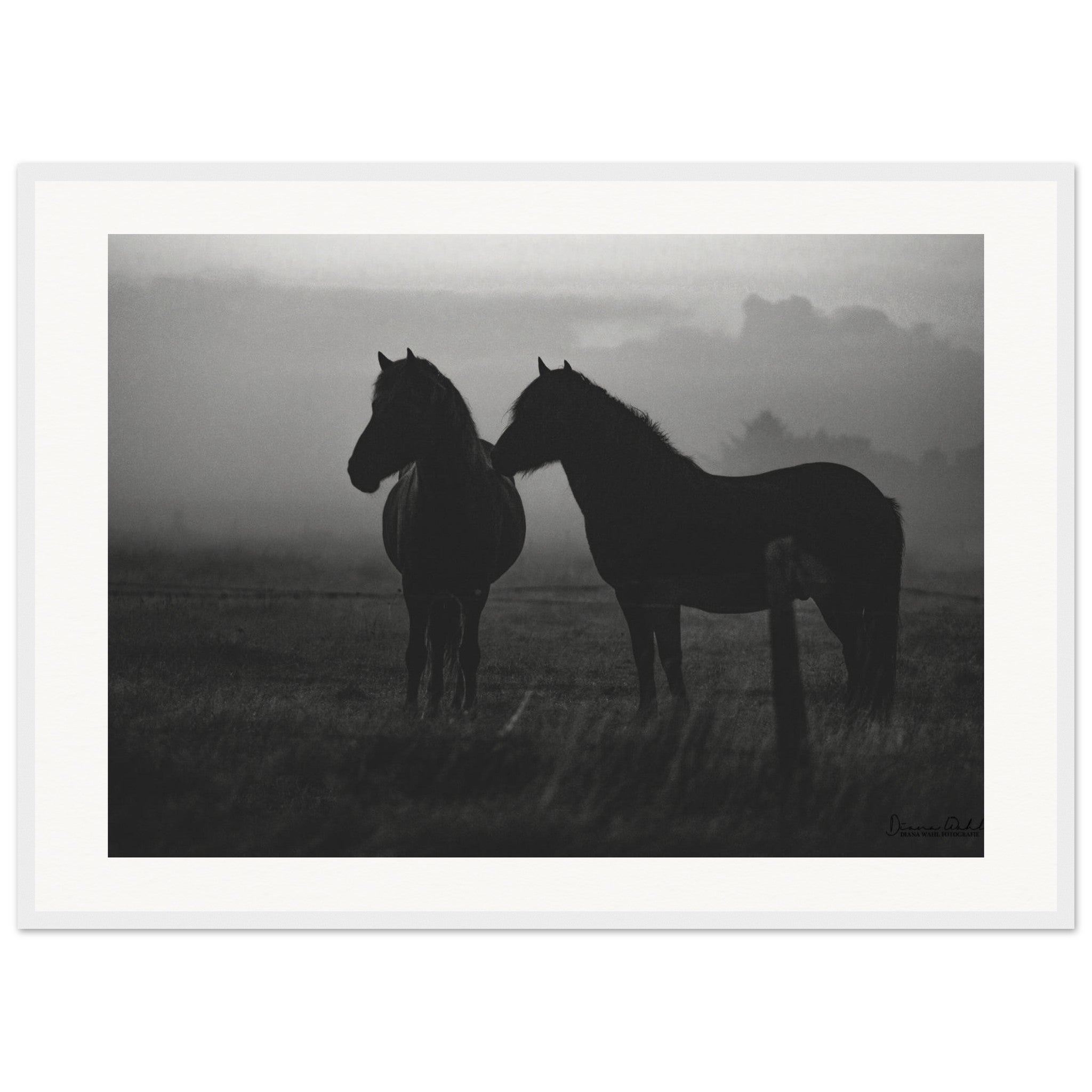 44e879ff-fd44-47ec-a2e1-793b9b01fa2a