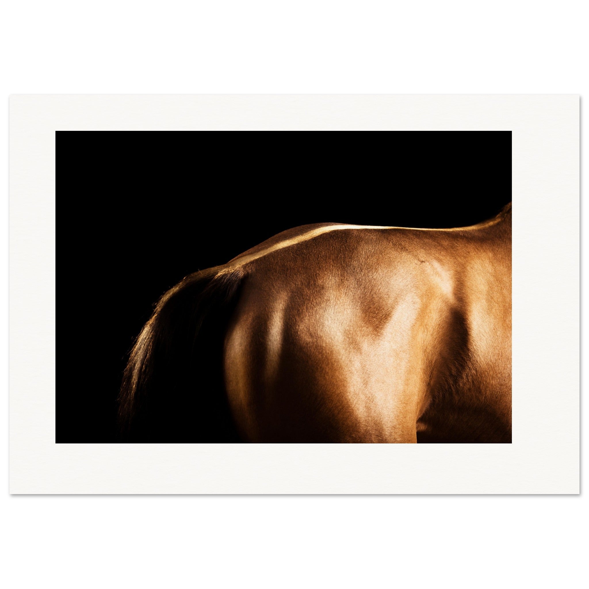 451d0989-20a7-4cb4-9ee4-d3e50b2fbd52