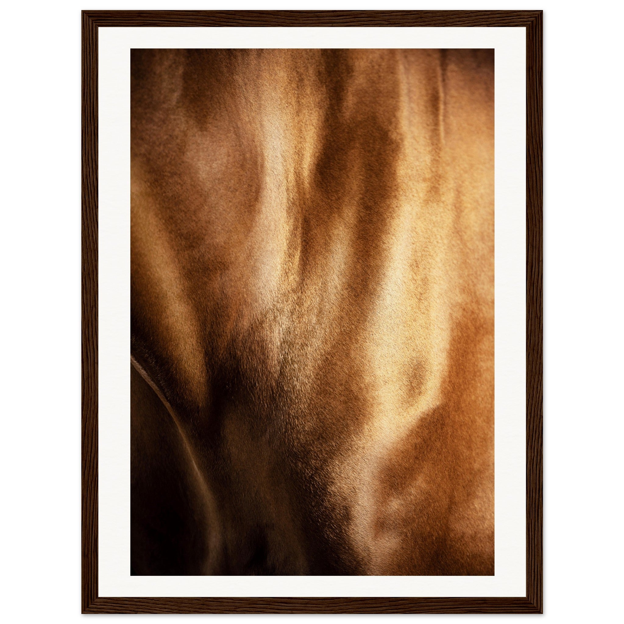 45405117-afff-4fa0-99e7-76c486f955ad