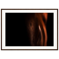 455e9250-9895-4864-9984-9457fcfccca1