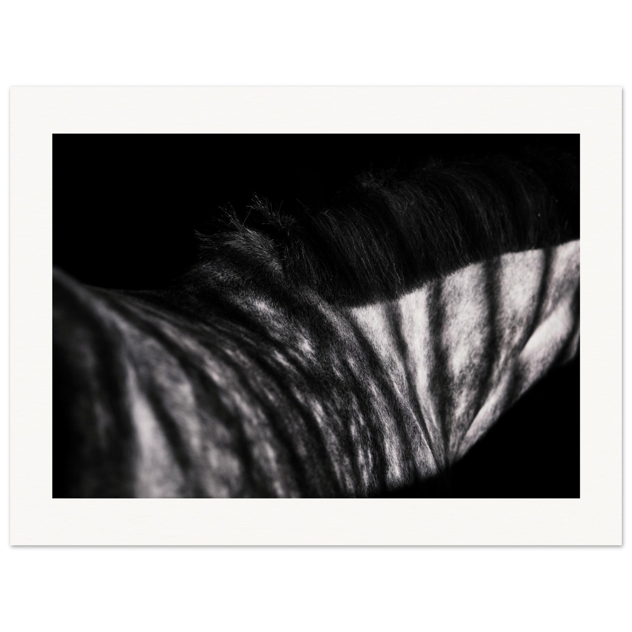 45ac86b6-d0cf-42f0-a1ac-1889b10930c8