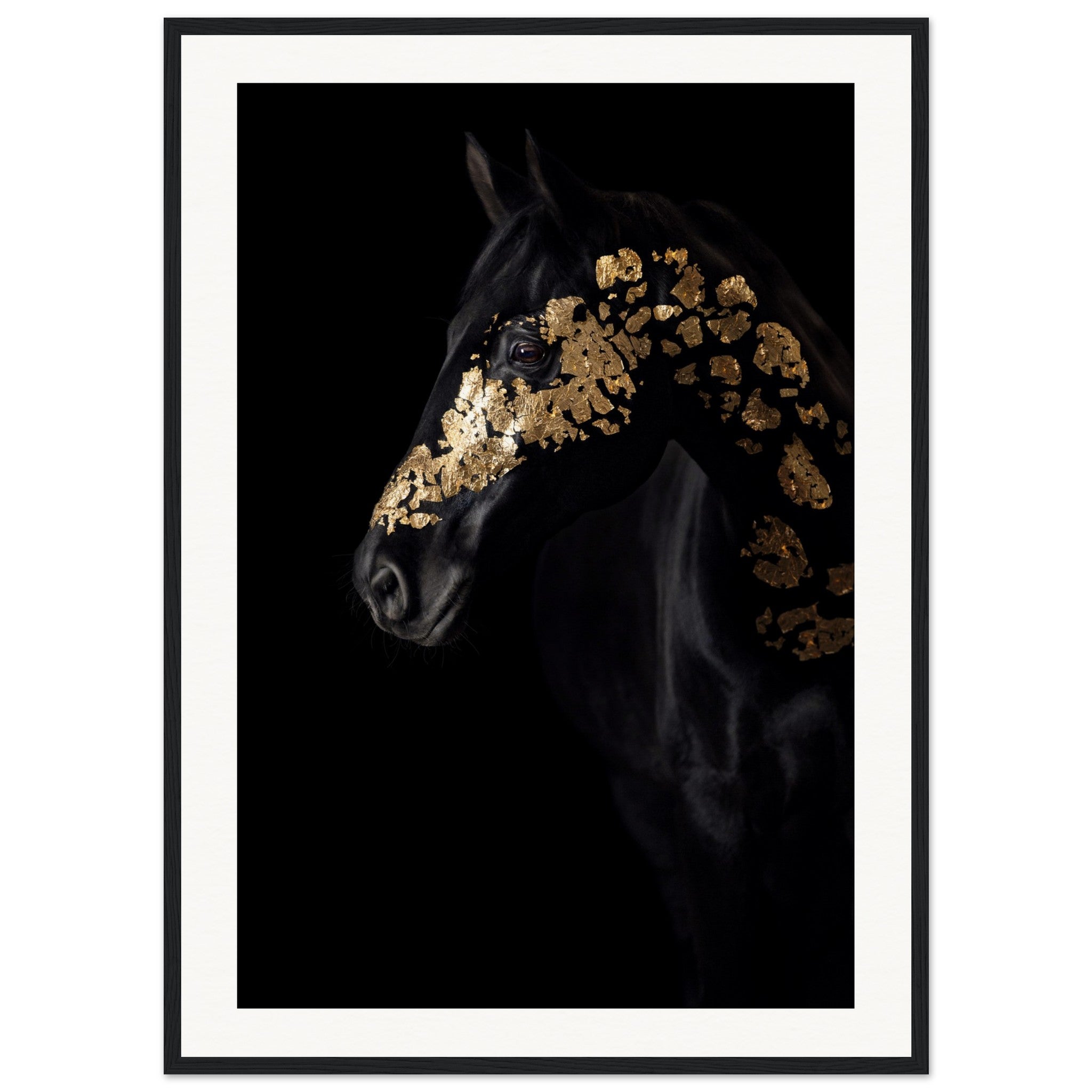 45ca08c2-2203-493e-a24c-f9cce7ea20bf